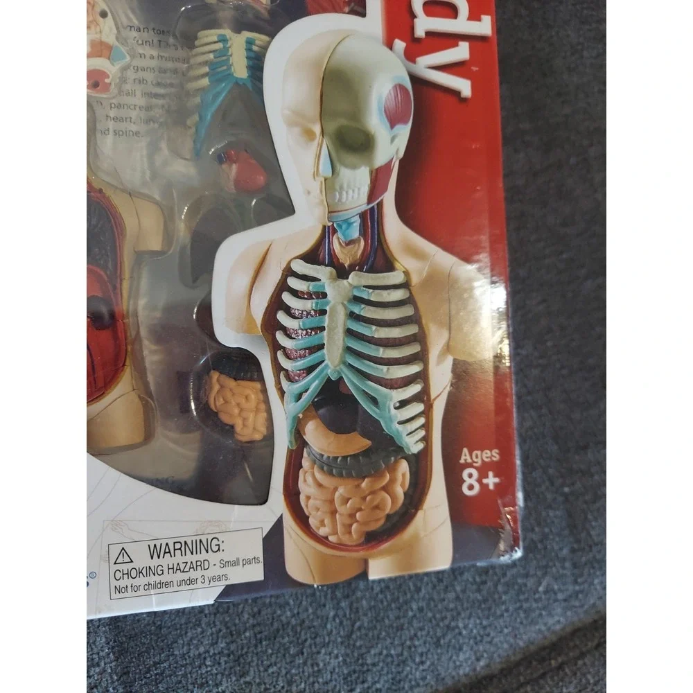 Human Body Learning Resources Educational Anatomy 31-Piece Model Set and‎ Stand